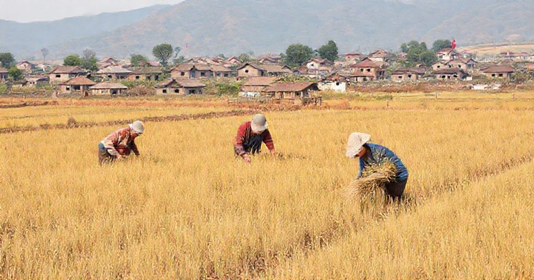 中国 農村の発展