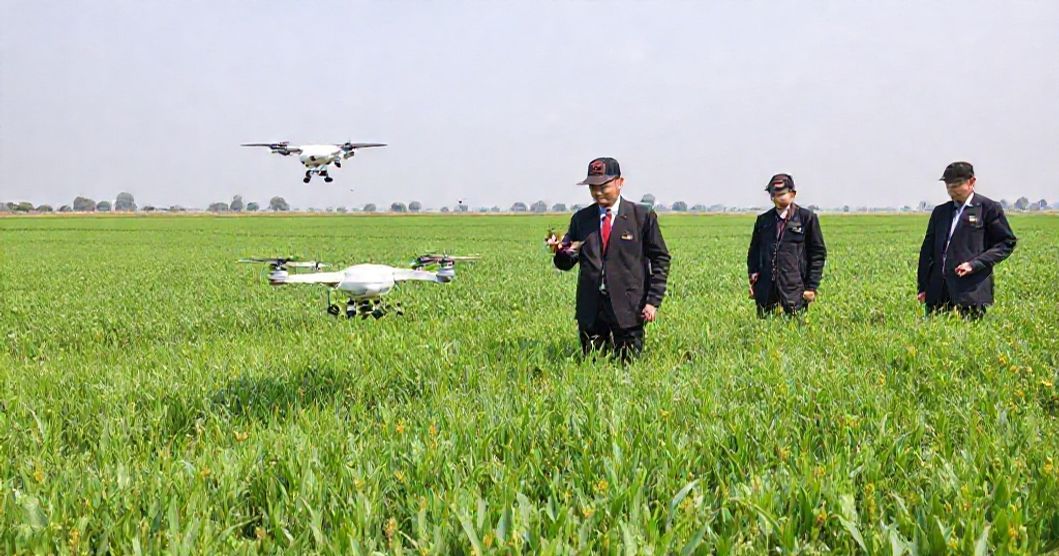 中国農業の発展