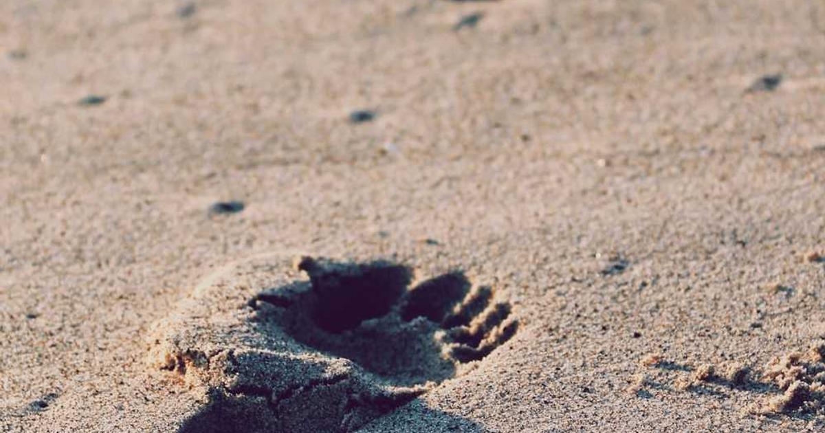 中国の2025年国内十大ニュース