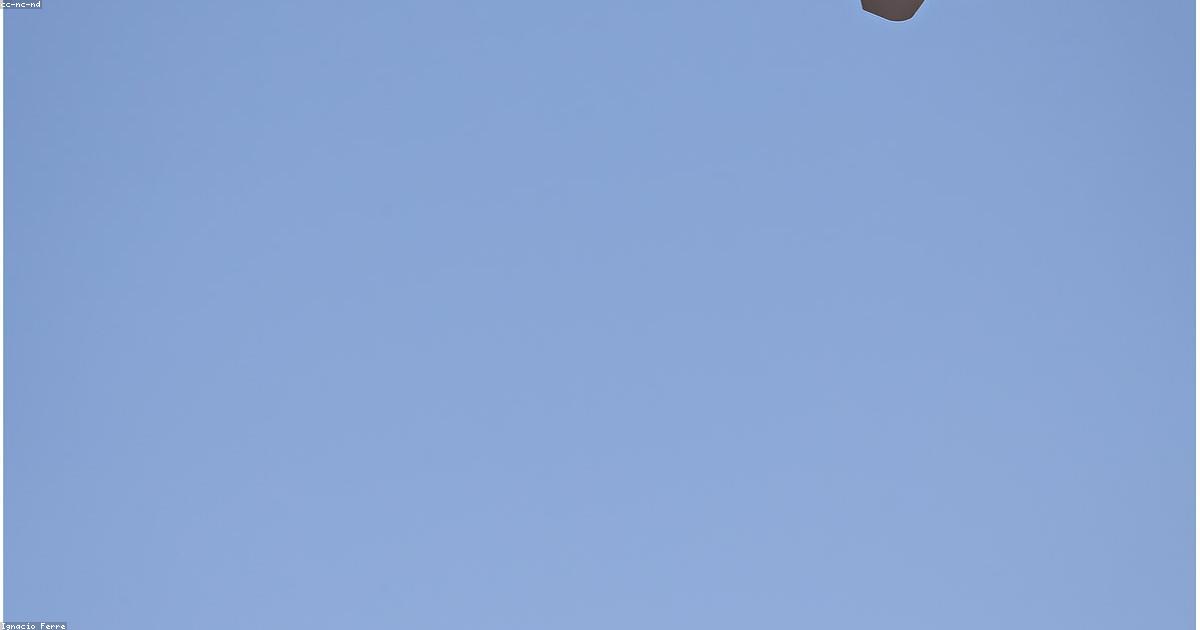 中国、日中関係を重視