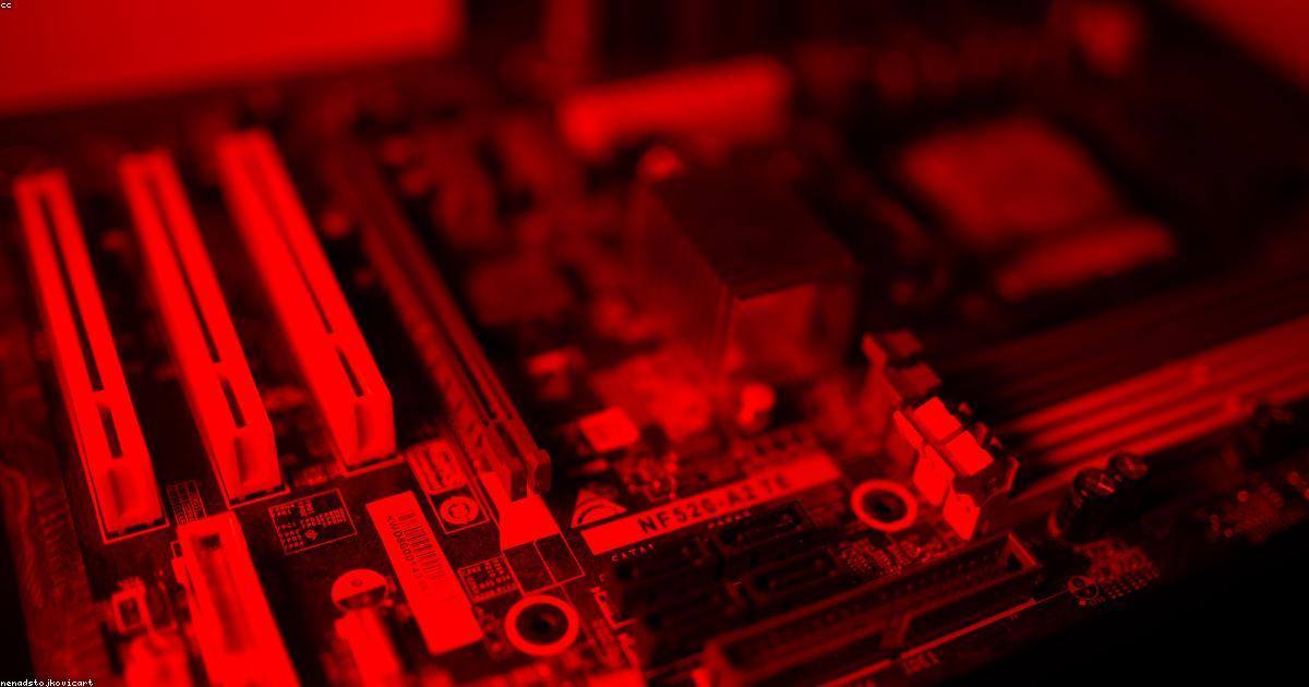 中国で無人機が猪を吊る