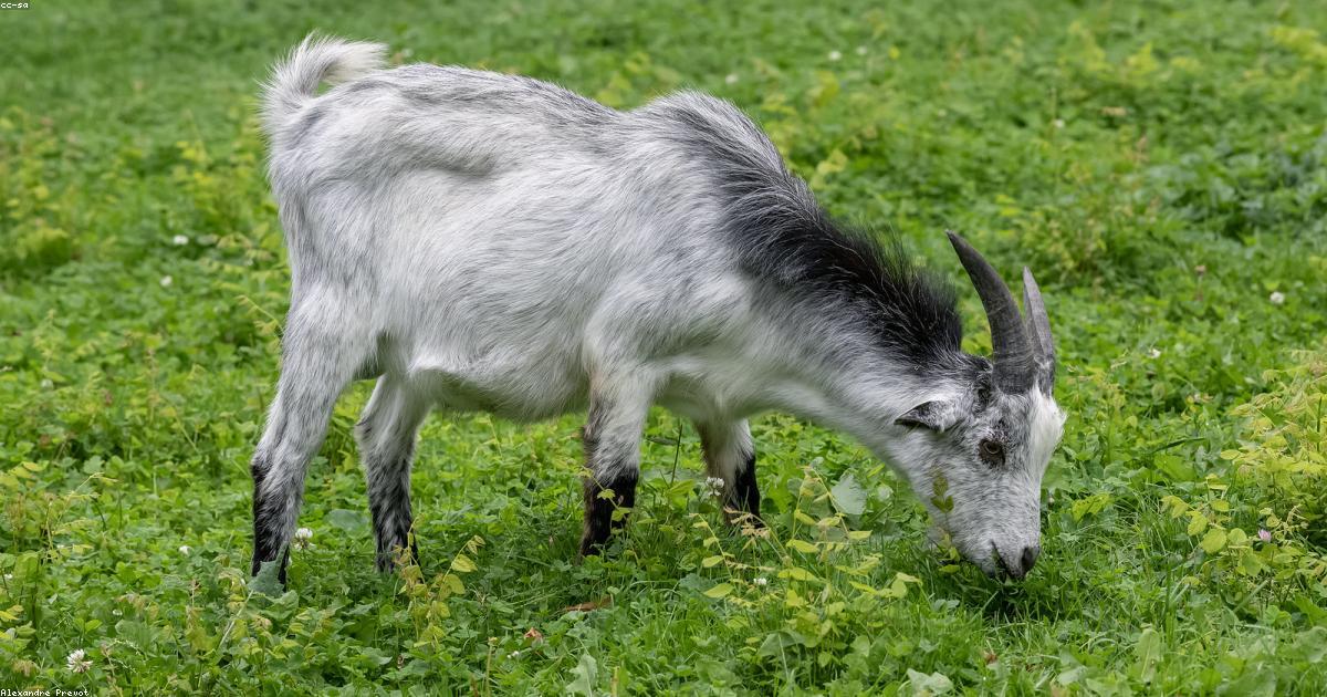 中国経済の発展と対外関係