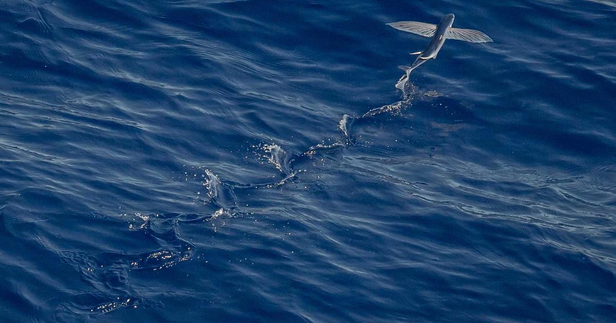 米国の強硬路線