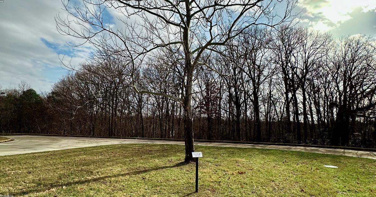 アップル、NAND価格高騰に直面