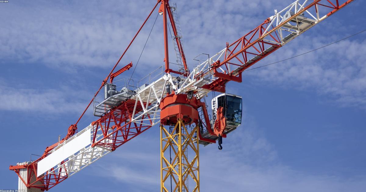 中国の独蒜蘭産業が発展