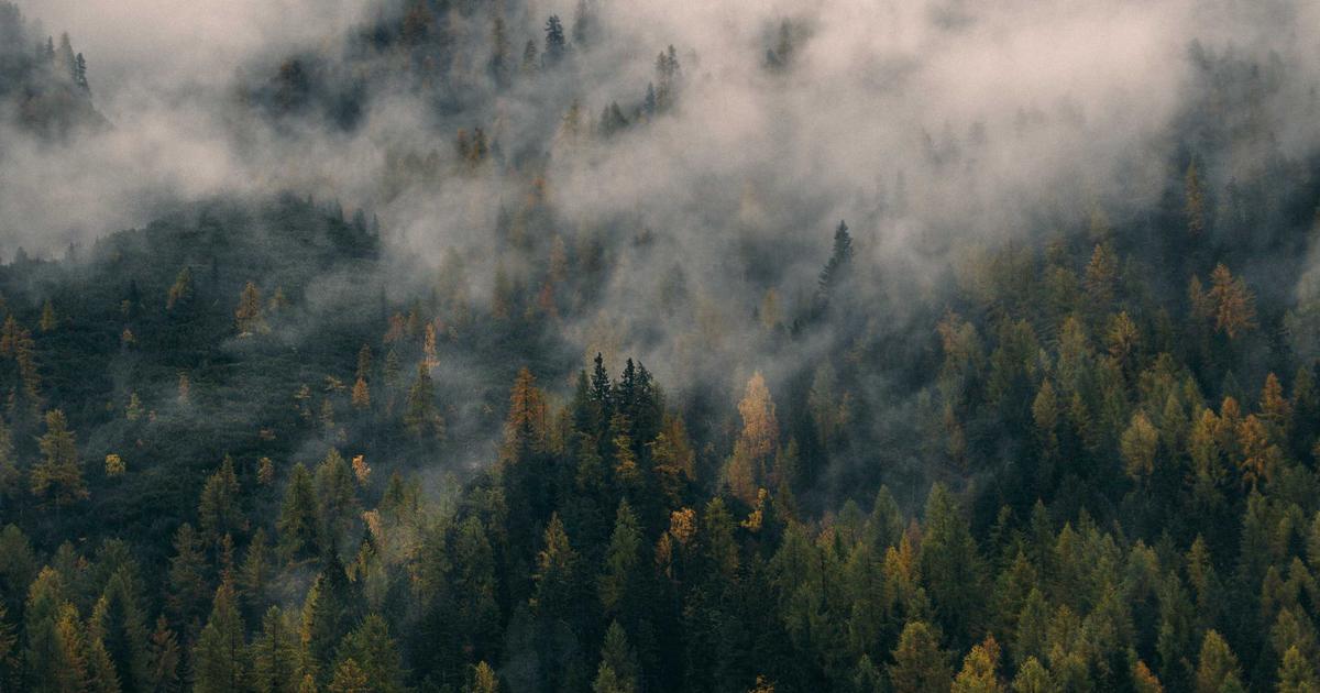 中国のエネルギー企業がイギリスで最高賞を受賞