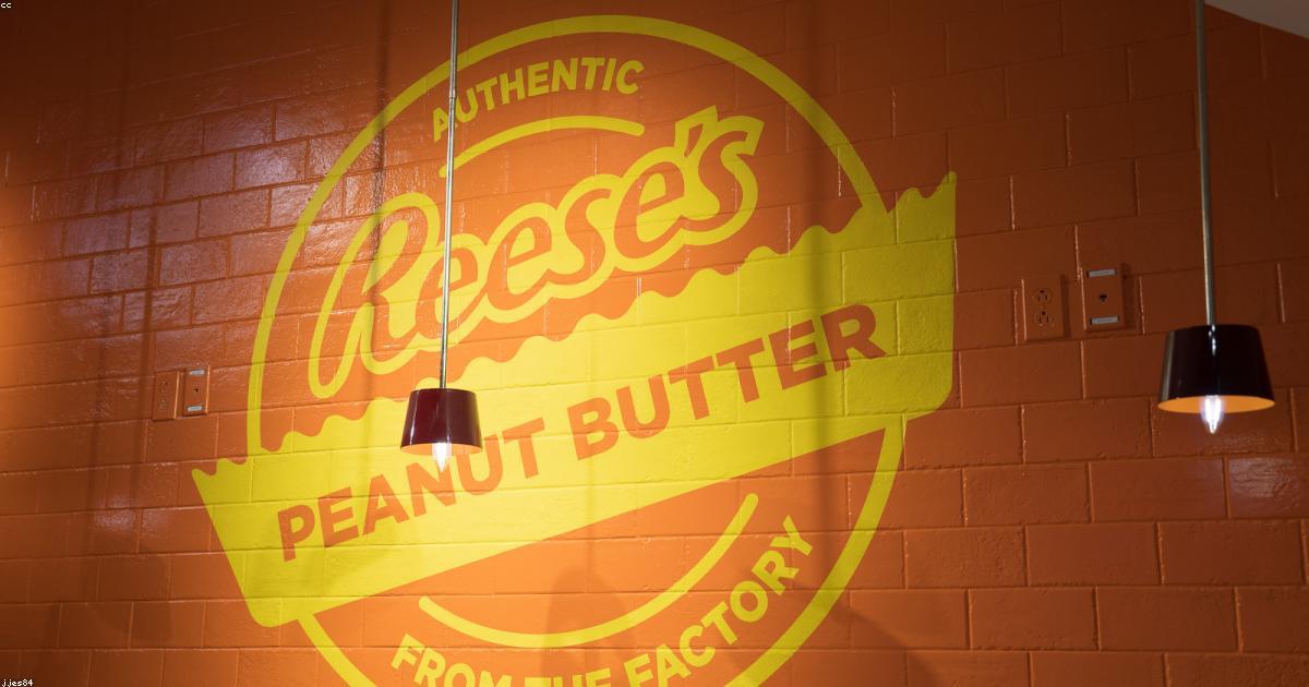 トランプ一家が加密通貨に注目