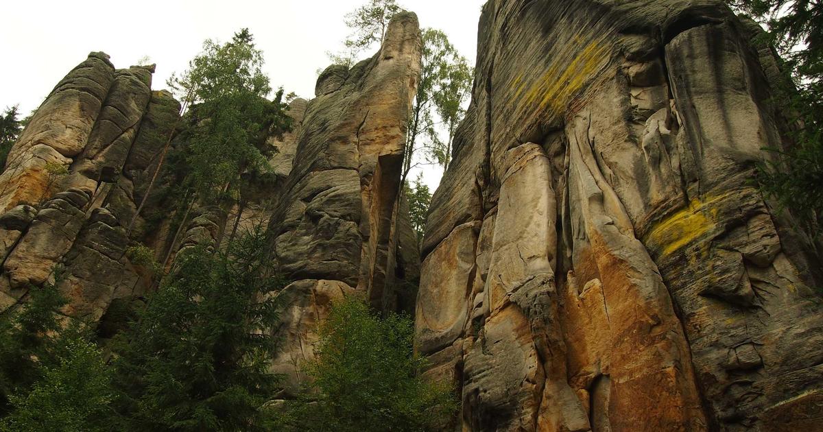 上海のAI産業が躍進