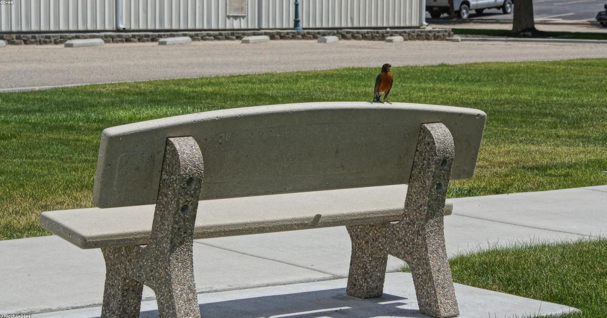 中国の未来を描く