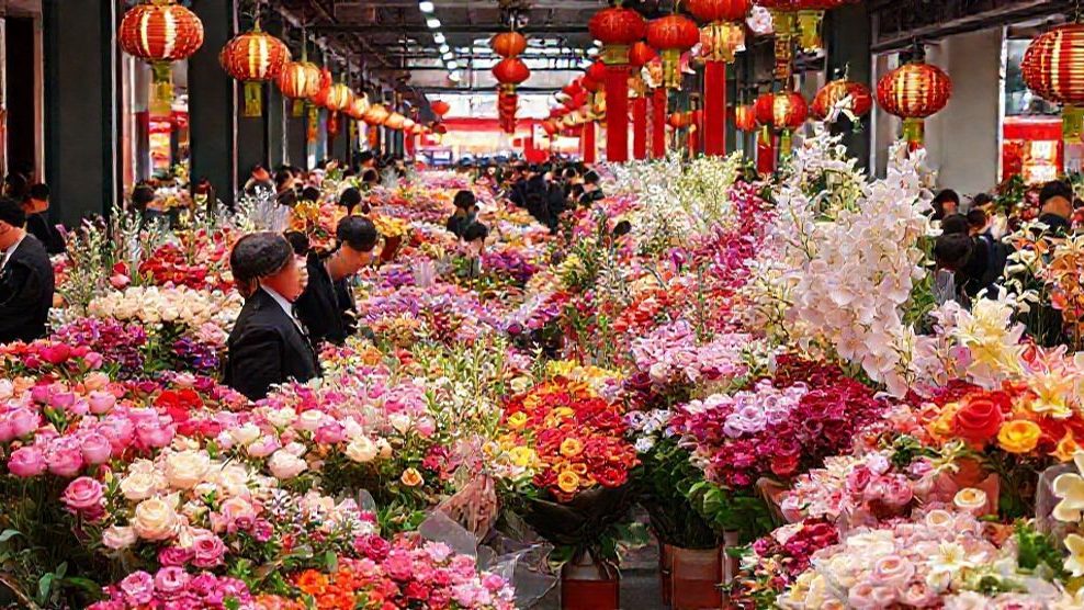 中国、春節の花市が活況 1000種以上の迎春花が市場に